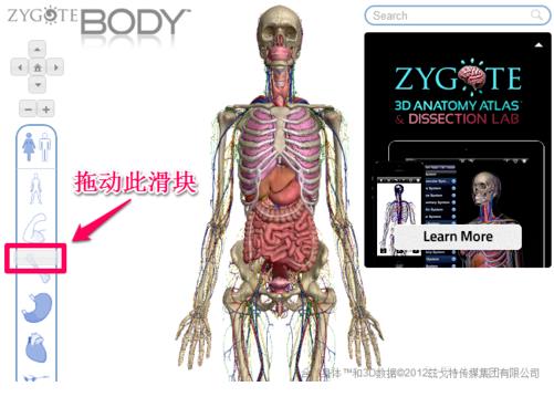 谷歌人体浏览器下载_谷歌人体浏览器 v65.0中文版