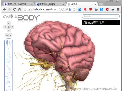 谷歌人体浏览器下载_谷歌人体浏览器 v65.0中文版