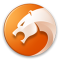猎豹浏览器双11专版下载_猎豹浏览器官方下载