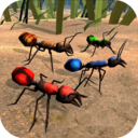 蚂蚁模拟器正版