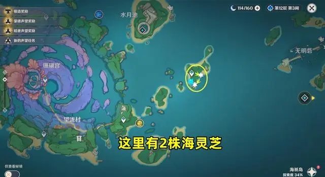 原神海灵芝采集地点大全