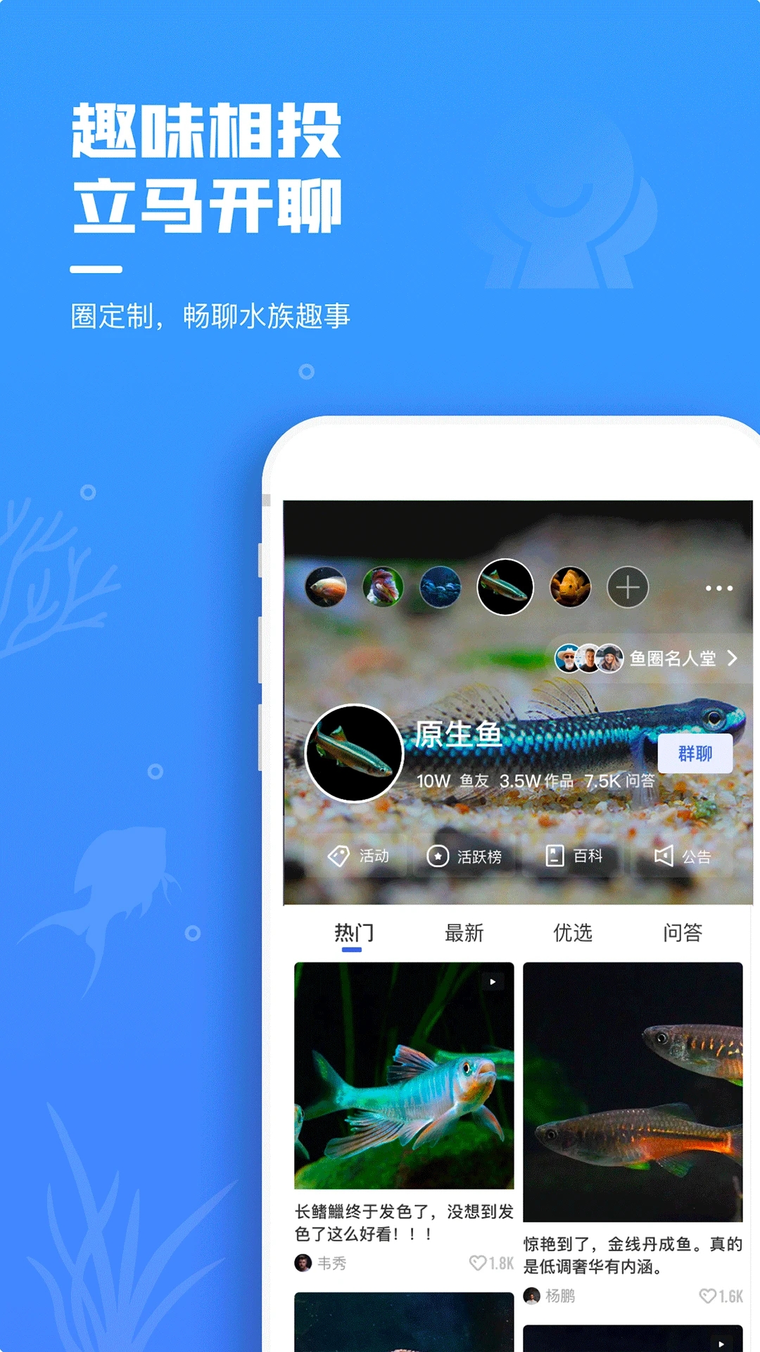 鲲天下APP