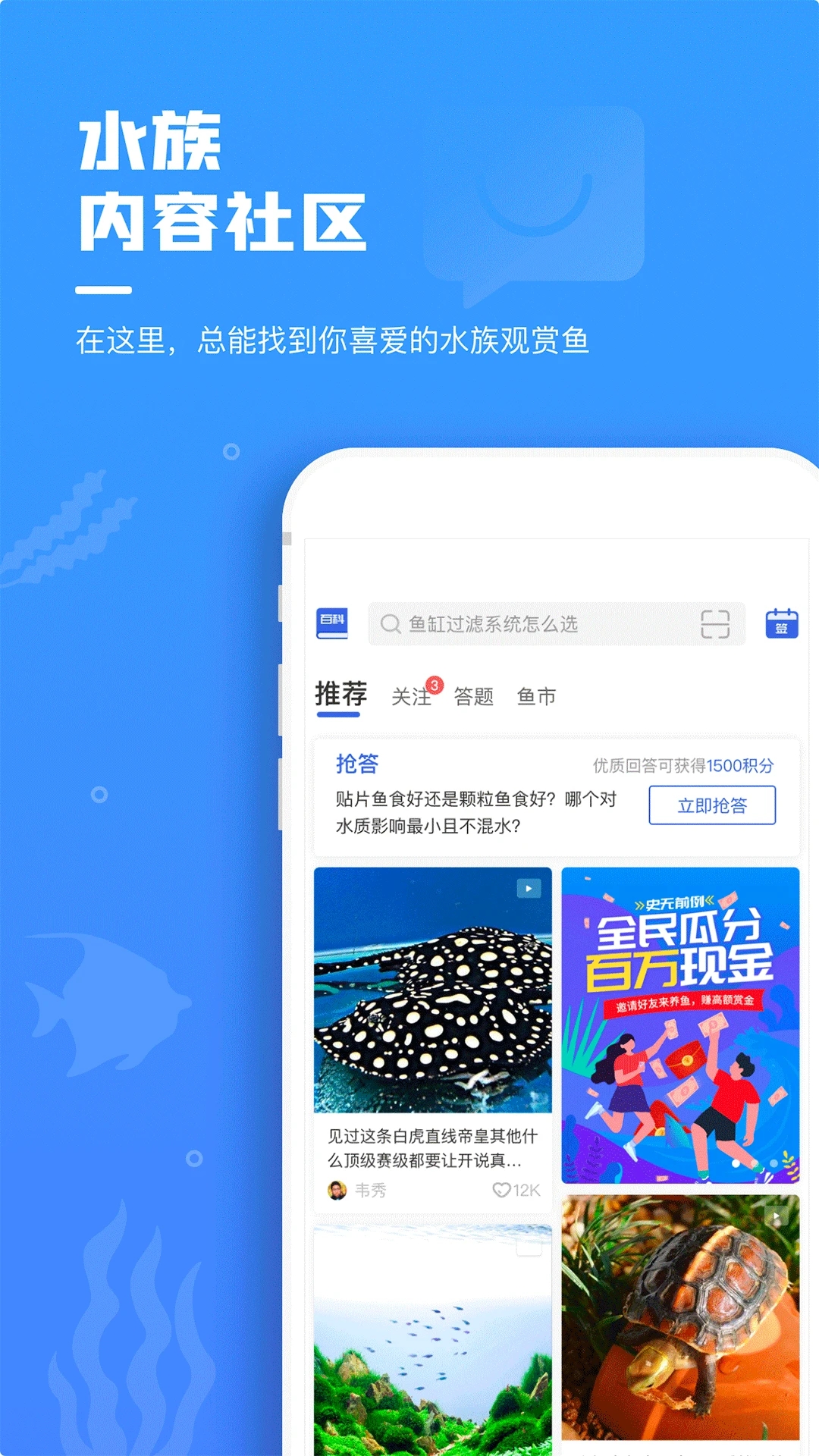 鲲天下APP