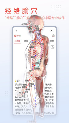 3Dbody解剖免费官网版