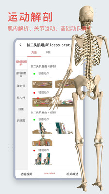 3Dbody解剖免费官网版