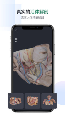 口袋人体解剖APP
