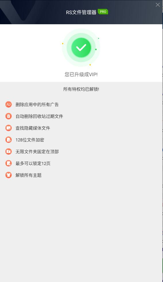 RS文件管理器VIP破解版