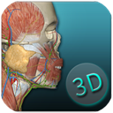 人体解剖学图集手机版 V3.15.2安卓版