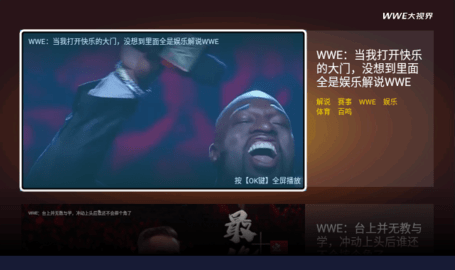 wwe大视界高清电视版(wwe解说)