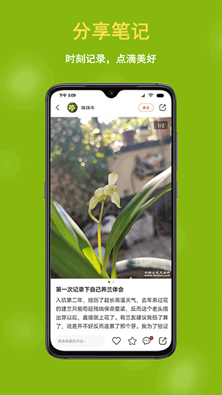 兰花交易网APP