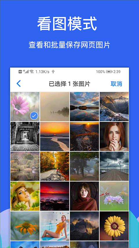 Alook浏览器APP(8倍速浏览器)