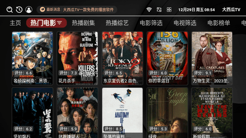 大西瓜TVapp