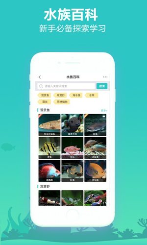 泡泡水族APP