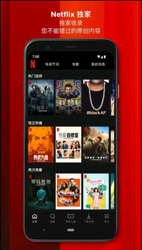 网飞netflix APP