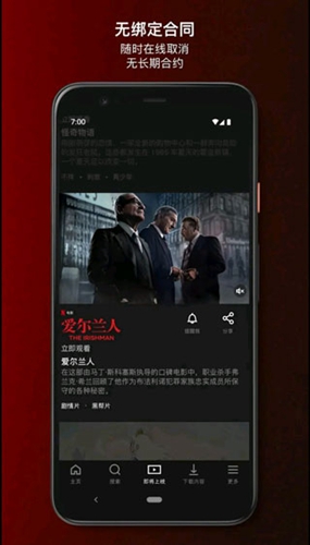 网飞netflix APP