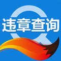 搜狐违章查询手机版 V8.5.2安卓版