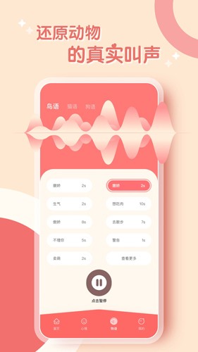 鹦鹉翻译器APP