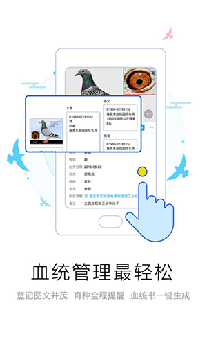 爱鸽者APP