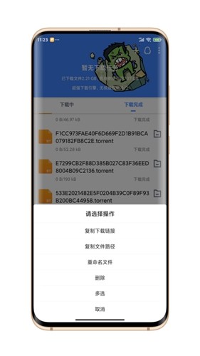 浩克磁力下载器APP