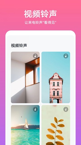 Themes主题APP