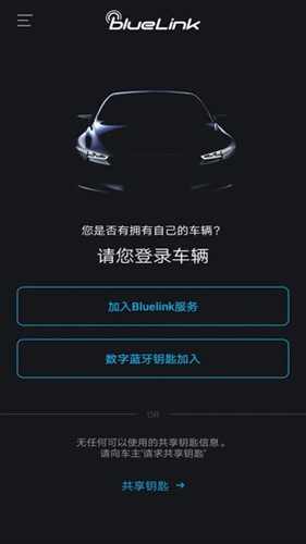 现代blueLink APP