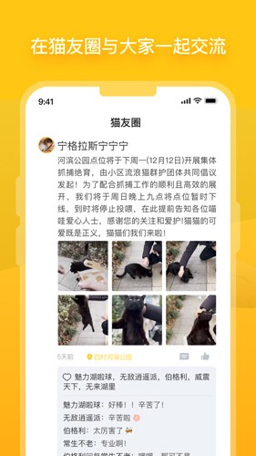 街猫APP(关爱流浪猫)