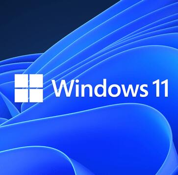 Windows11 23H2正式版官方镜像 v22631.3447