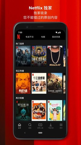 Netflix奈飞视频