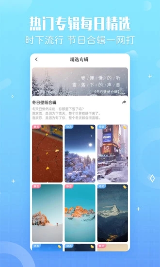 小鸟壁纸APP