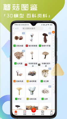 菌窝子APP