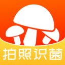 菌窝子APP