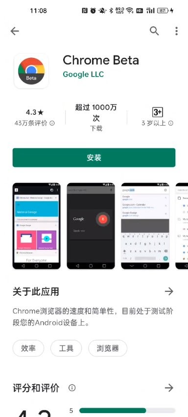 谷歌应用商店(Google Play Store)