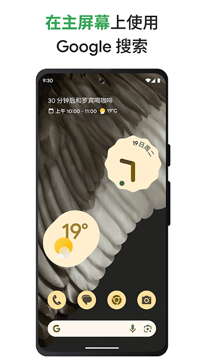 谷歌搜索app