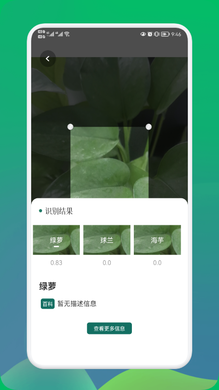 小园丁APP(拍照识别植物)