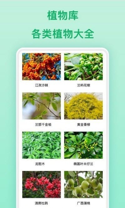 形色APP[拍照识植物]