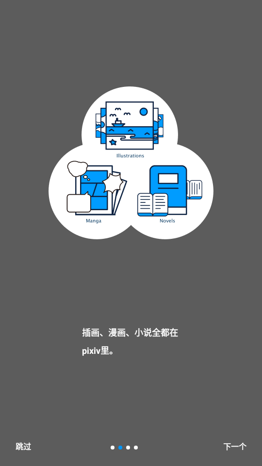 p站proburn安装包