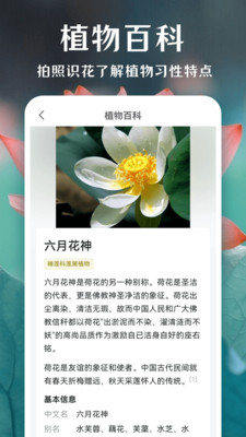 拍照识花APP