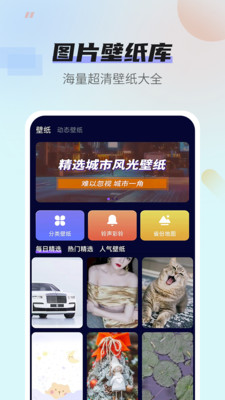 番茄动态壁纸APP